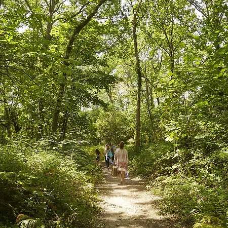 Lägenhet Appart-patio Centre-ville A 100m De La