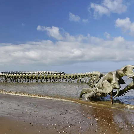 Appart-patio Centre-ville A 100m De La