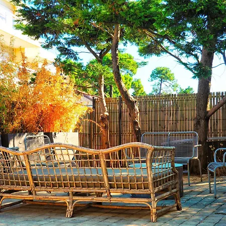 דירה Appart-patio Centre-ville A 100m De La *