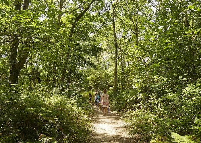 Apartamento Appart-patio Centre-ville à 100m De La